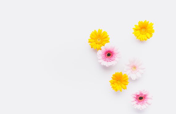 人生をもっとキレイにカラフルに～キレイデザイン協会広島みらい支部