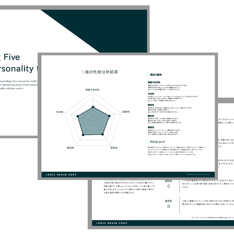 ビッグファイブレポート3枚組