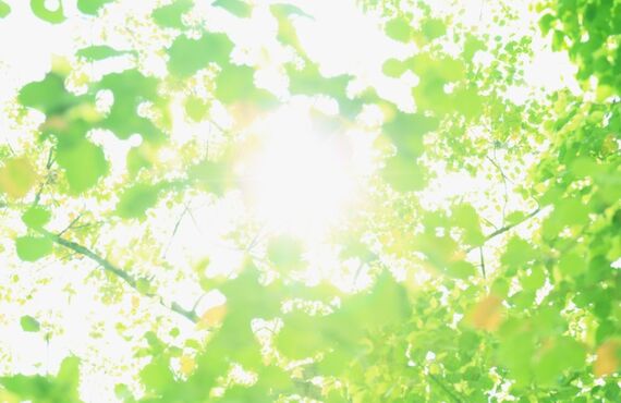 寄付金について